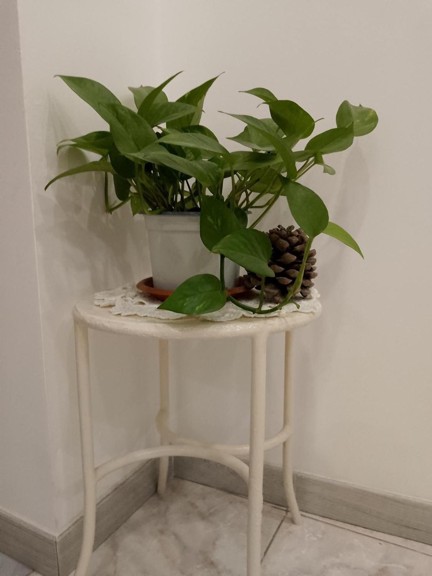 Le Casette Di Nonna Rosa In Fontanarossa Catania Airport Luaran gambar